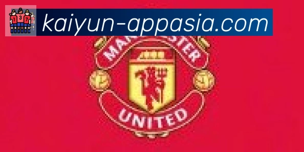 开云体育合作伙伴